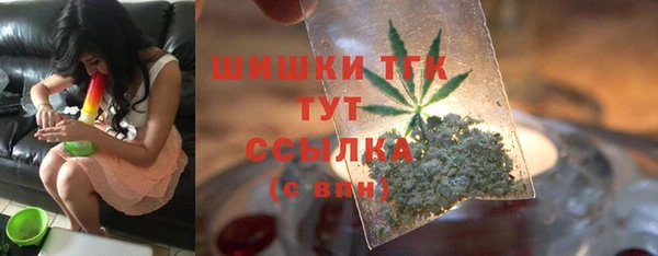 гидра Алексин