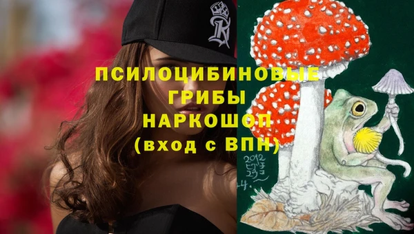 дурь Протвино