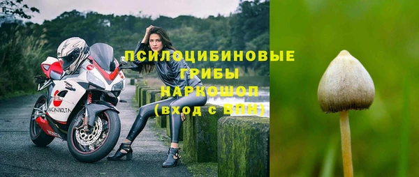 гашик Приозерск