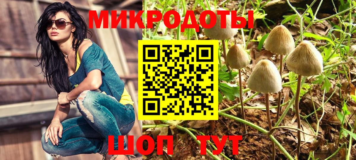купить закладку  Галлюциногенные грибы Cubensis  Вход с VPN  Балахна 