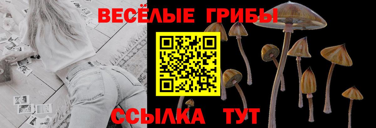 Псилоцибиновые грибы MAGIC MUSHROOMS Балахна